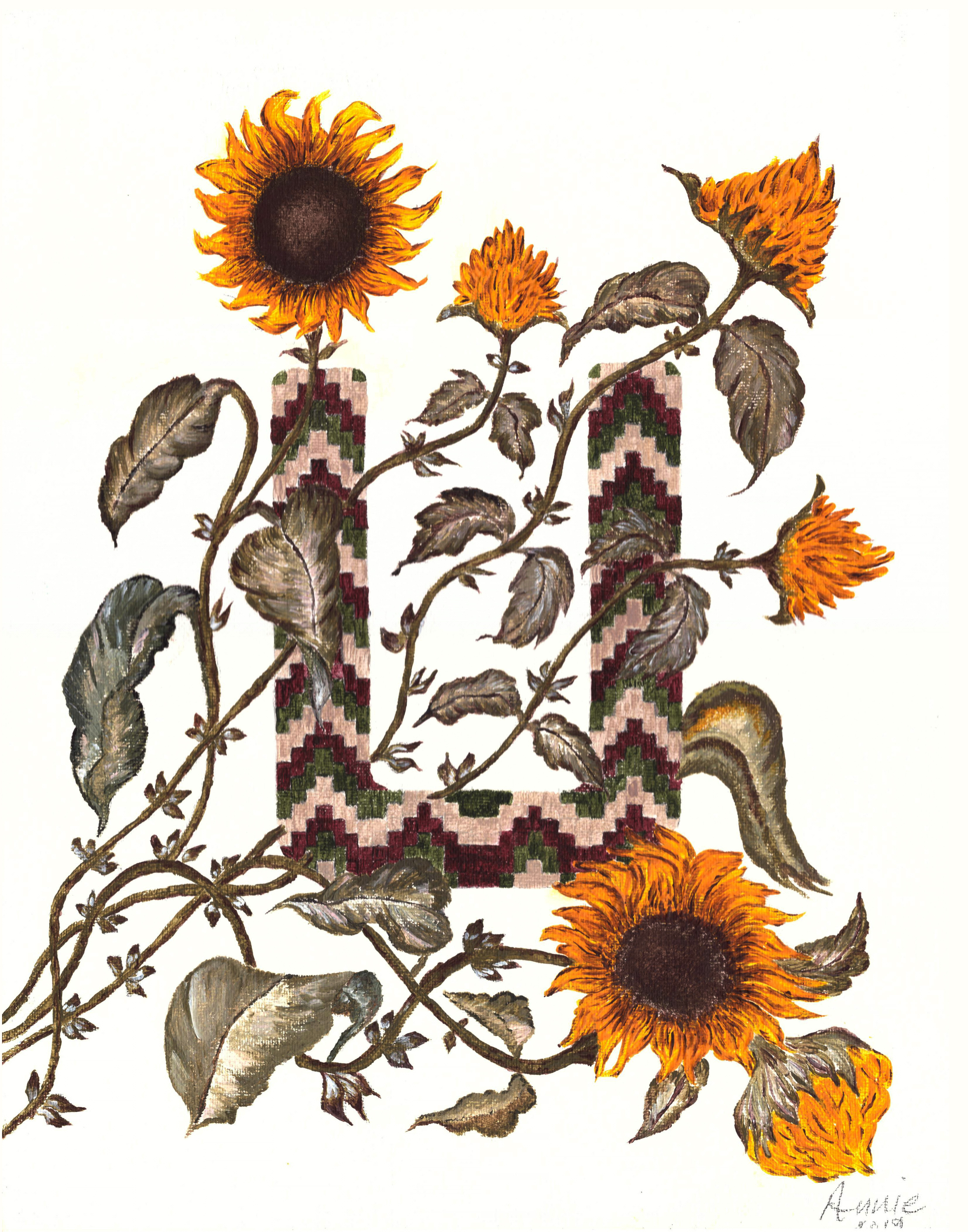 armenian-ayb-sunflowers