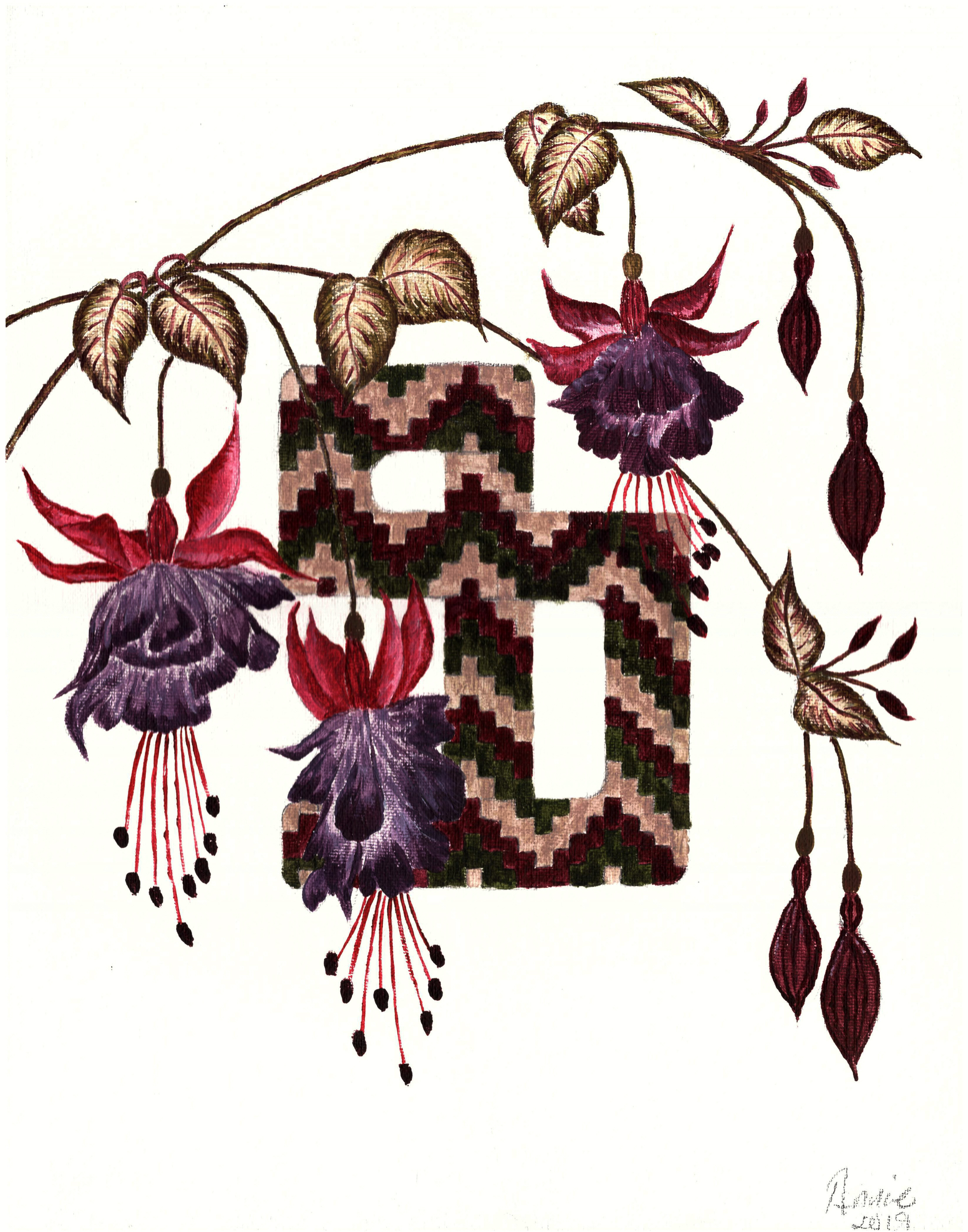 armenian-feh-fuschia-flowers