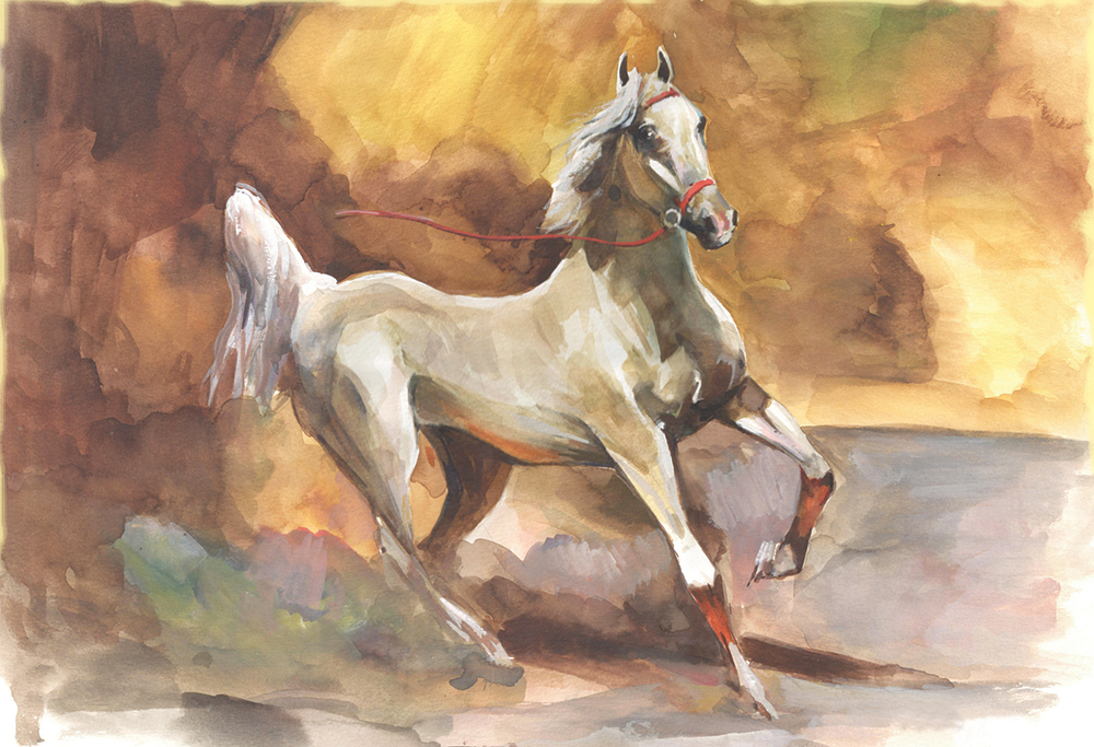 desert-wind-horse